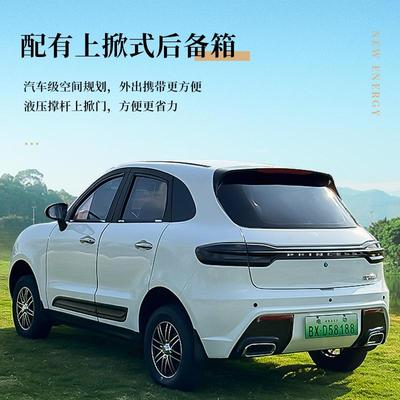 电动四轮车油电两用封闭式成人轿车新能源汽车家用代步车锂电瓶车