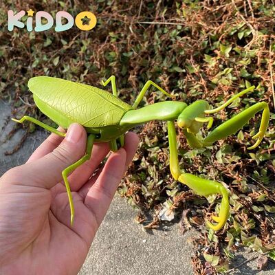 Infrared Remote Control Cockroach Simulation Animal Creepy S