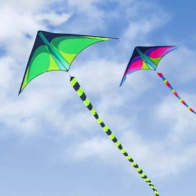 YongJian large delta kites flying for adults kites Outdoor T