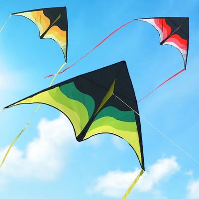 YongJian Large Beach Delta Kite for Adults and Kids Exremely