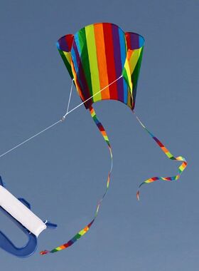 Kids Interactive Long Tile Rainbow Parafoil Flying Kite Educ
