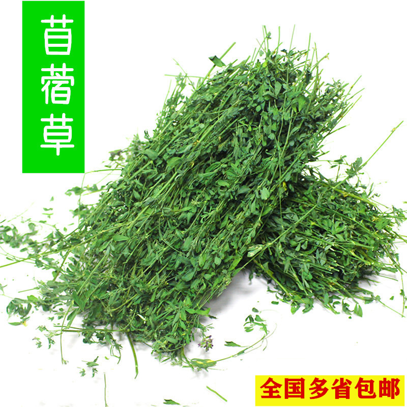 兔子草苜蓿草紫花苜宿草干草幼兔粮新鲜干草龙猫粮食饲料食物牧草