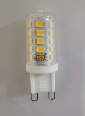 G9高效LED白光暖光暖白光吊灯泡
