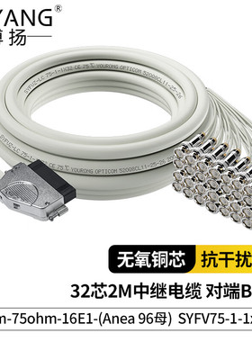 博扬32芯2M中继电缆15m-75ohm-16E1-(Anea 96母)SYFVZP75-1-1*32