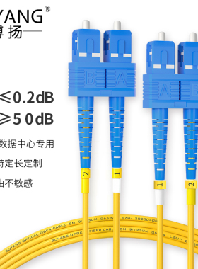 博扬（BOYANG）电信级光纤跳线SC-SC(UPC) 10米 单模双芯尾纤Φ2