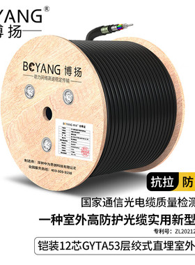 博扬 BY-GYTA53-12B1.3-2KM 重铠地埋12芯单模室外光缆 GYTA53层