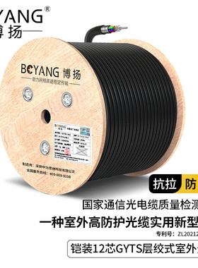 博扬（BOYANG）BY-GYTS-12B1.3 铠装12芯单模室外光缆GYTS层绞式