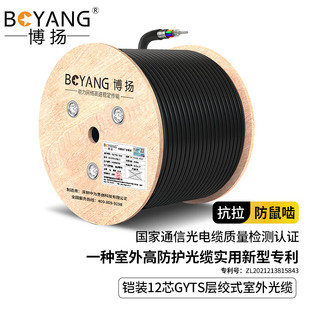 GYTS BOYANG 鎧裝 12芯單模室外光纜GYTS層絞式 12B1.3 博揚