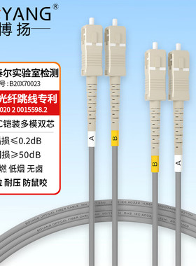 博扬 BY-K5112M电信级铠装光纤跳线sc-sc 5米 多模双工 抗拉压防