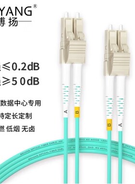 博扬BY-155M-OM3万兆多模光纤跳线lc-lc 1米 OM3-300双芯尾纤Φ2