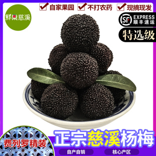 慈溪杨梅新鲜现摘余姚当季鲜果浙江东魁荸荠黑炭孕妇杨梅特甜冷链