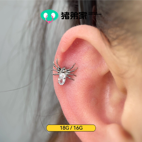 9A锆石蜘蛛钛合金内螺纹TOP