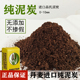 丹麦进口品氏泥炭土有机营养土通用型种菜多肉土养花老版 纯泥炭土