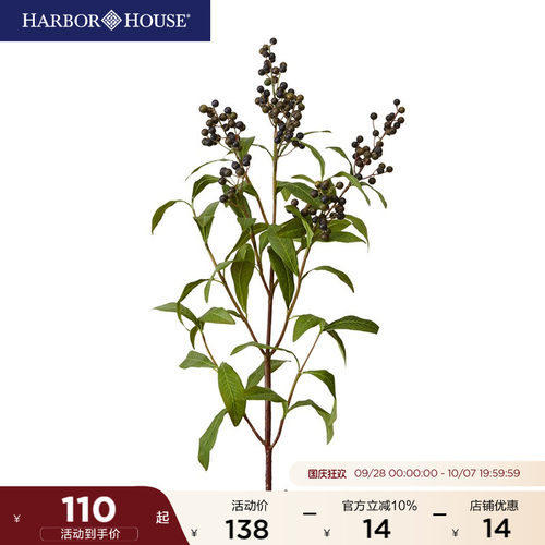 HarborHouse野生美式装饰仿真花