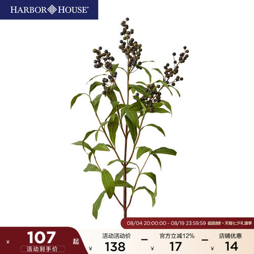 HarborHouse野生美式装饰仿真花