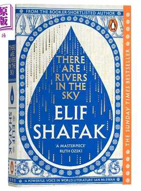 进口原版 *天上有河流 英文原版 There are Rivers in the Sky Elif Shafak 畅销书作家艾丽芙 沙法克新作 流行小说   Penguin UK