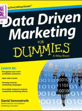 进口原版 *Data Driven Marketing for Dummies 数据驱动的假人营销   For Dummies