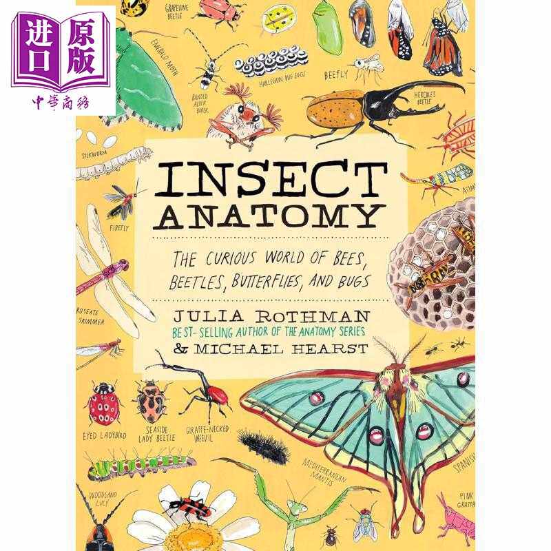 进口原版 *茱莉亚罗斯曼 昆虫解剖学 全彩插图 Insect Anatomy?The Curious World 英文原版 Julia Rothman   Storey Publishing