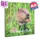 科普读物 Hugh 英文原版 休 The Warwick 海狸之书 哺乳动物 Book 进口原版 Graffeg Beaver 精美可爱摄影作品及插 沃里克