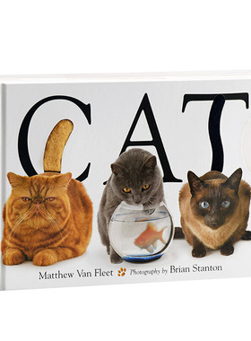 进口原版 *英文原版 CAT 猫 Matthew Van Fleet 精装 进口优质儿童读物 趣味启蒙认知系列 动物   Simon & Schuster