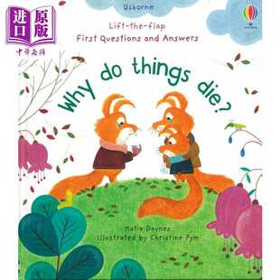 Usborne Die and 进口原版 Questions Things Answers Lift Flap the 尤斯伯恩启蒙翻翻学儿童绘本纸 Pub 英文原版 First Why