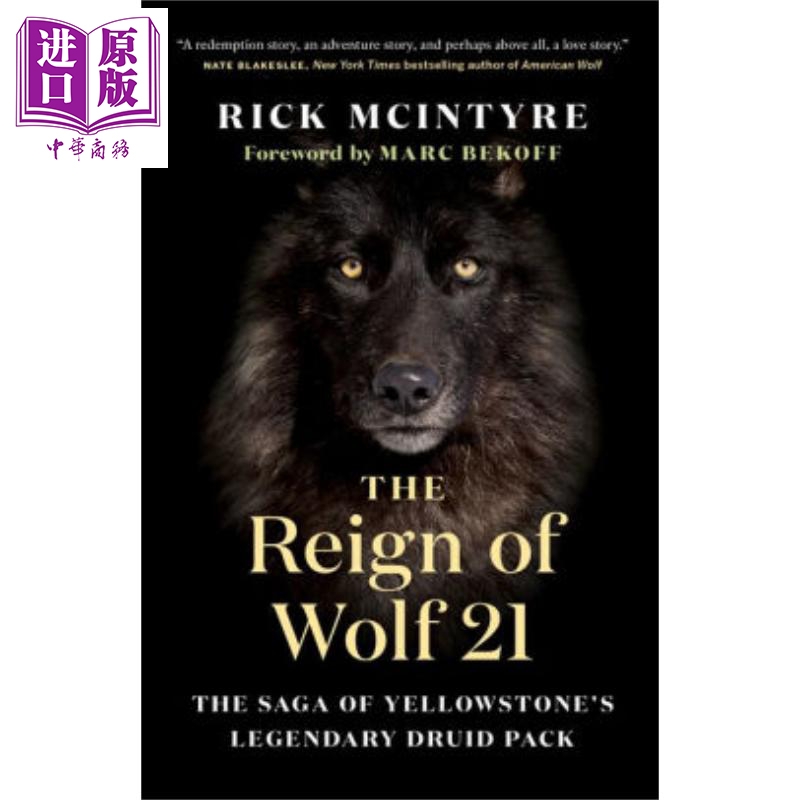 进口原版 *狼21的统治 黄石传奇德鲁伊狼群的传奇 英文原版 The Reign of Wolf 21 Rick McIntyre   Grove Press