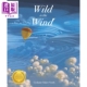 风之怒 Wind 亲子故事绘本 儿童读物 英文原版 进口图书 进口原版 the Publish Grahame Smith：Wild 6岁以上 Templar Baker