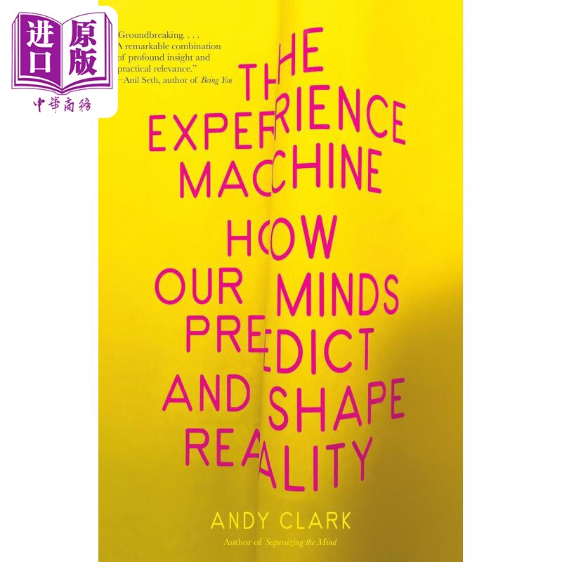 进口原版 *体验机器 我们的*如何预测和塑造现实 英文原版 The Experience Machine Andy Clark 安迪 克拉克   Random House US