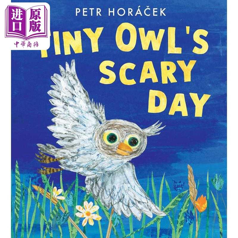 中商原版 *小猫头鹰的探险夜 Petr Horacek Tiny Owls Scary Day 英文原版 儿童绘本 动物故事书 精装精品绘本 进口   Walker UK