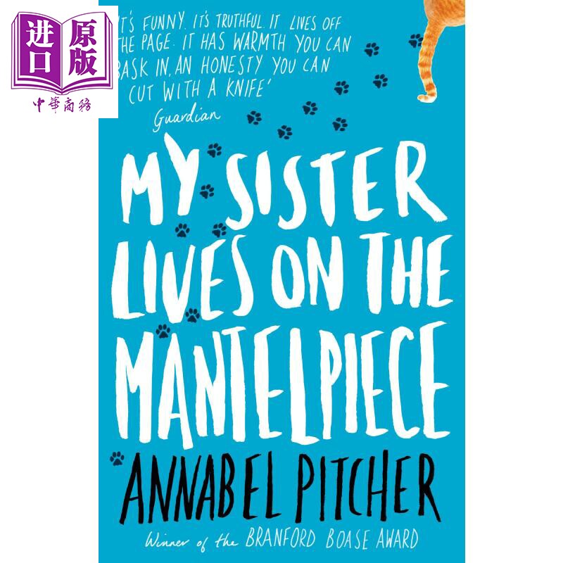 进口原版 *我的姐姐住在壁炉上 豆瓣高分 英文原版 My Sister Lives on the Mantelpiece Annabel Pitcher   ORION
