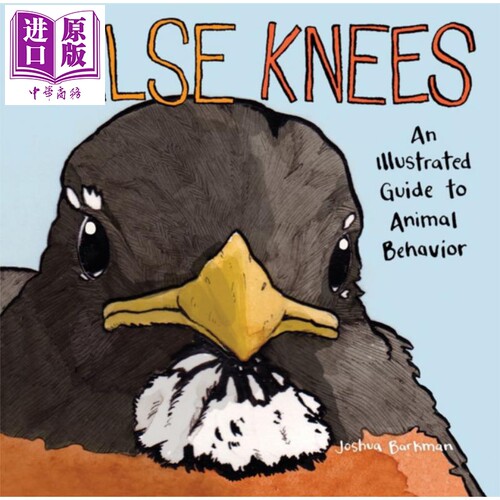 进口原版 *我能有什么坏心思呢 去码头整点薯条原著漫画 False Knees英文版 蠢萌小动物绘本漫画书 英文原版 Joshua   AMP