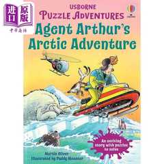 进口原版 *解谜冒险书 北极探险 Puzzle Adventures Agent Arthurs Arctic Adventure 英文原版 儿童推理探险故事    Usborne Publ