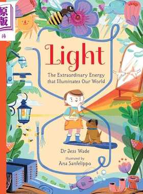 进口原版 *光 点亮世界的非凡能量 Light The Extraordinary Energy That Illuminates Our World 英文原版 儿童绘   Walker UK