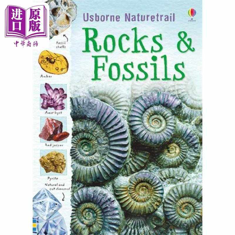 进口原版 *Rocks and Fossils 岩石和化石 英文原版 进口图书 儿童科普绘本 少儿知识百科图书 精品绘本儿童读物自   Usborne Publ