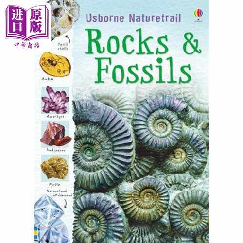 进口原版 *Rocks and Fossils 岩石和化石 英文原版 进口图书 儿童科普绘本 少儿知识百科图书 精品绘本儿童读物自   Usborne Publ