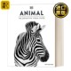 Definitive Visual 动物百科 进口原版 Guide The 第四版 图解图鉴指南 Animal 精装