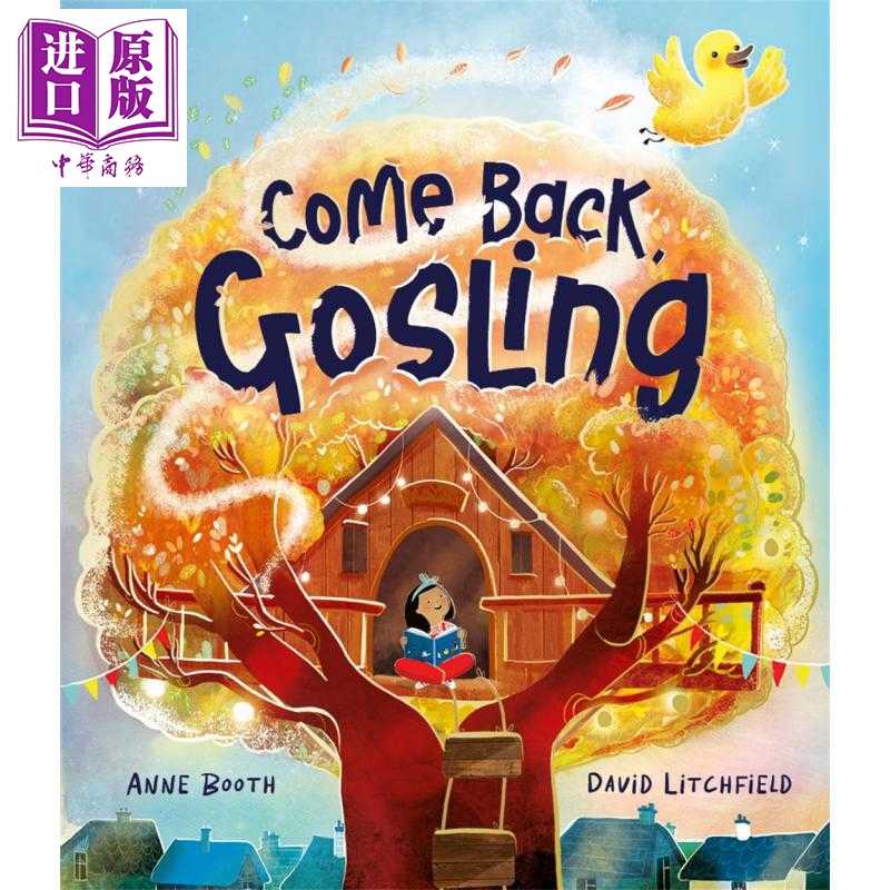 进口原版 *回来吧 小鹅 David Litchfield Come Back Gosling 英文原版 儿童绘本图画书 友谊和分享的故事 进口童书   Templar Pub