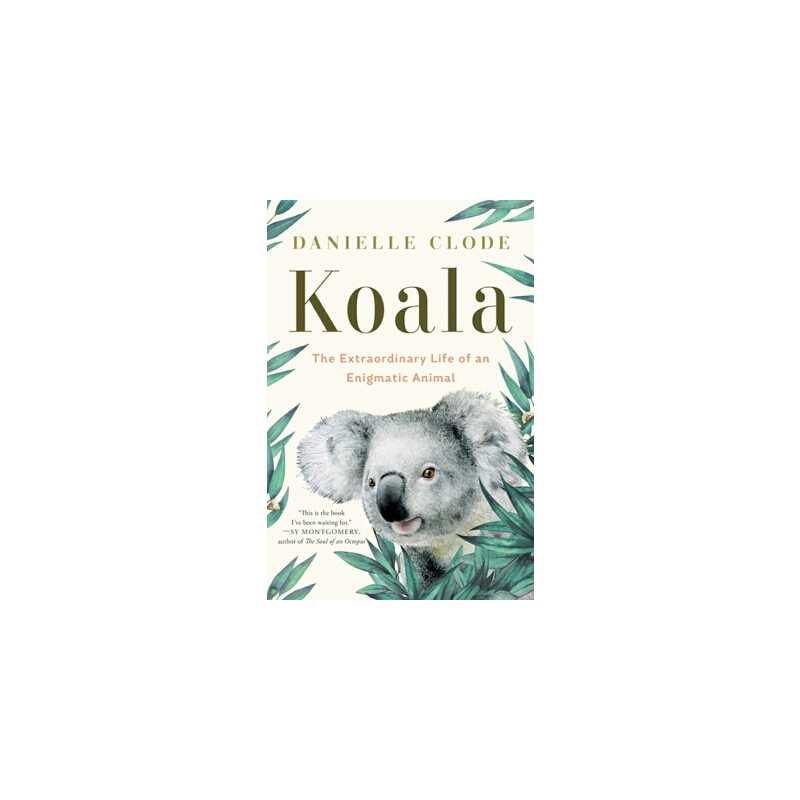 进口原版 现货 Koala: The Extraordinary Life of an Enigmatic Animal: 9781324074496   W. W. Norton & Company
