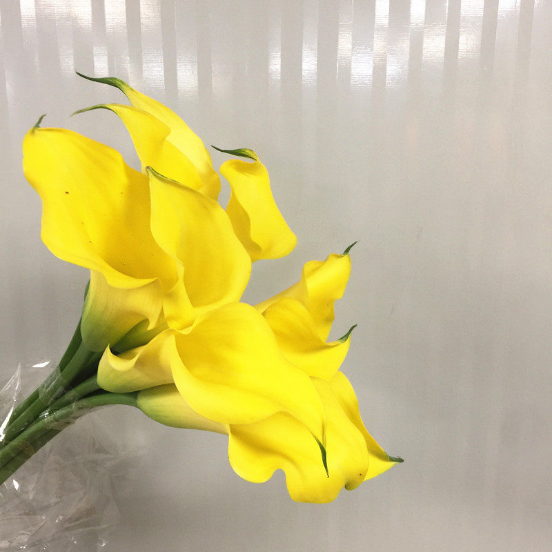 马蹄莲鲜花速递江浙沪皖两扎包邮