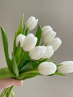 郁金香鲜切花上海同城鲜花速递家用瓶插花艺装饰江浙沪皖两扎包邮