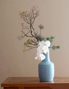 松萝鲜切枝木本枝条上海鲜花速递家用花艺造型江浙沪皖两扎包邮