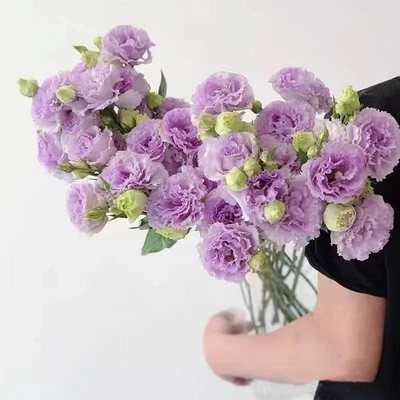 多色通用洋桔梗江浙沪皖两扎包邮