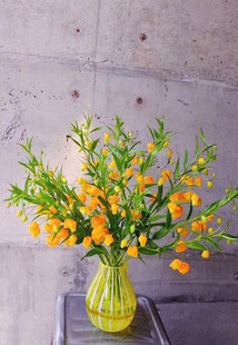 宫灯百合鲜花速递上海同城家用花艺小清新花材江浙沪皖两扎包邮