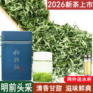 2026新茶毛尖绿茶春茶100克狗牯脑茶叶江西遂川明前贡品散装汤湖