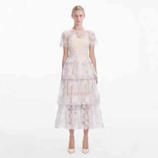 蛋糕连衣裙 甜美风网纱刺绣收腰显瘦长款 新款 欧美2025春夏法式