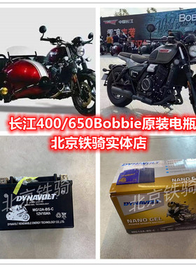 长江400摩托车电瓶猛狮CJ650bobbie侉子边三轮原装电池12V10AH
