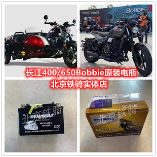 长江400摩托车电瓶猛狮CJ650bobbie侉子边三轮原装电池12V10AH