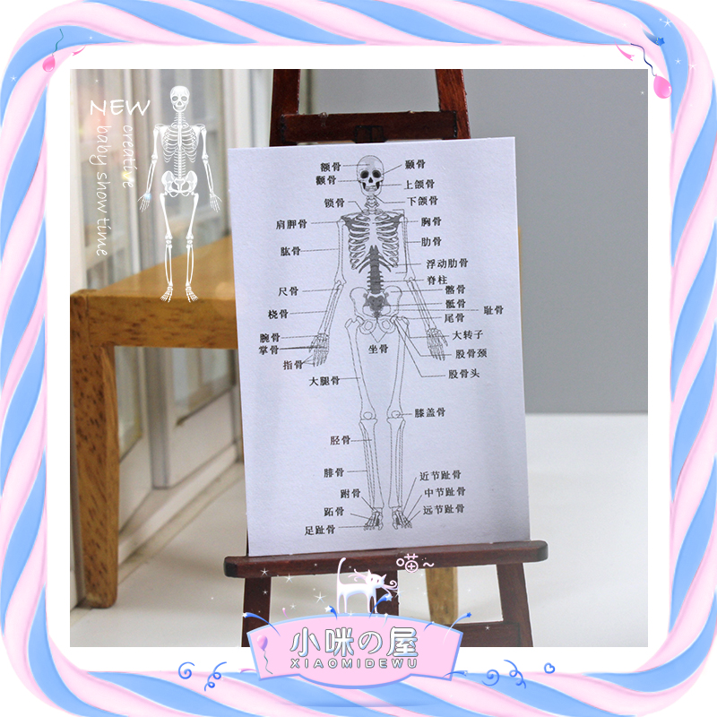 娃娃屋diy配件微缩人体结构图模型玩具创意摆件娃屋生活场景Z364