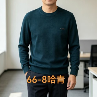 春秋翻领打底体恤衫休闲长袖上衣  新品薄款印花爸爸装polo衫秋衣