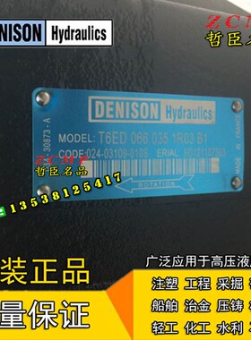 T6EC-045/52/62/66-017/022/025/028/031-1R00/2R00 A1/B1/C1油泵